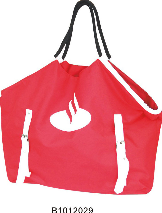 Promotion bag