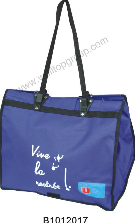 Promotion bag